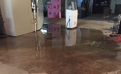Shower leak caused flooded basement in Rochester, Minnesota